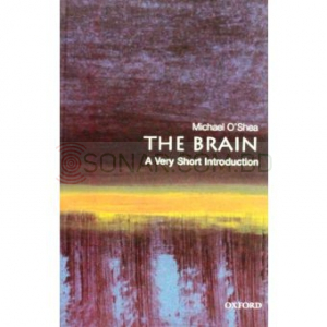The Brain A Very Short Introduction 144