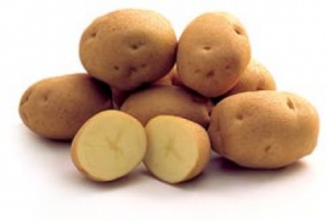 Potato Regular 1 Kg