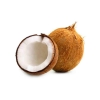 Coconut 1 Pc