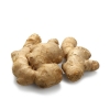 Ginger (Ada) Imported