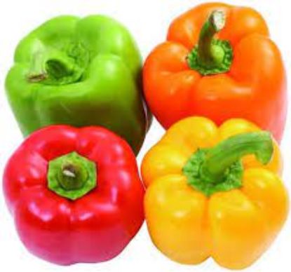 Picture of Multicolor Capsicum seeds 25 pcs