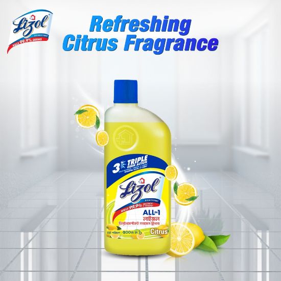 Picture of Harpic Lizol Double Protection- 750ml Toilet Cleaner & 500ml Citrus Surface Cleaner Combo
