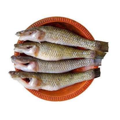 Picture of Bele fish (also known as Goby fish or Baila fish)